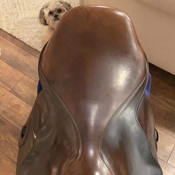 M. Toulouse MTL Close contact saddle Pending sale - Picture 6 of 8